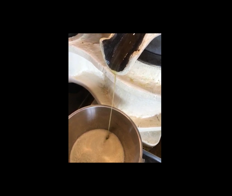 La Vie Contée - Moulin et patrimoine - L'huile de noix coule de la presse du Moulin de la Vie Contée